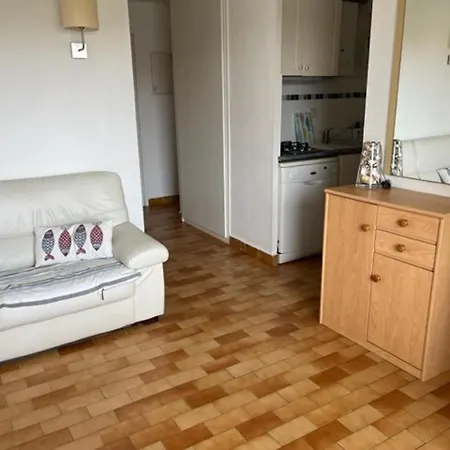 T3 Agde: Confort, Parking, Proche Plage Et Commerces, Capacite 5 Pers. - Fr-1-749-7 Apartment